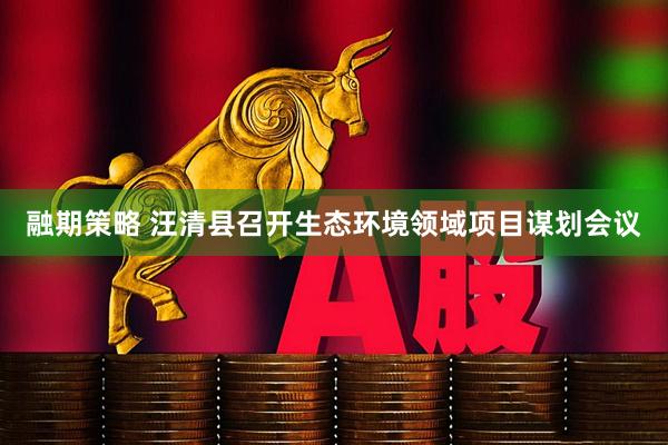 融期策略 汪清县召开生态环境领域项目谋划会议