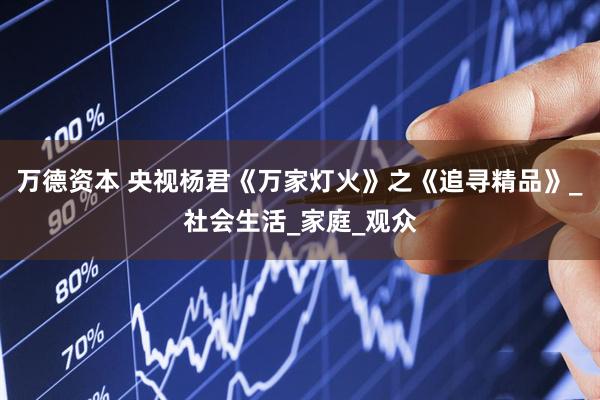 万德资本 央视杨君《万家灯火》之《追寻精品》_社会生活_家庭_观众