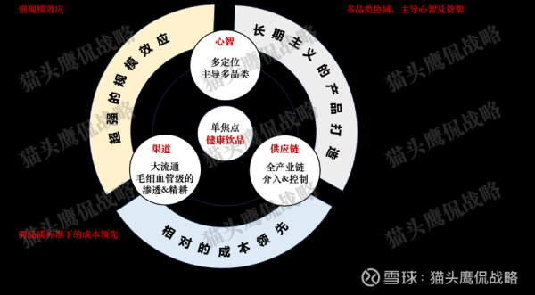 非常谋略 1图13字，吃透农夫山泉的战略及竞争优势；兼述农夫山泉面临的挑战