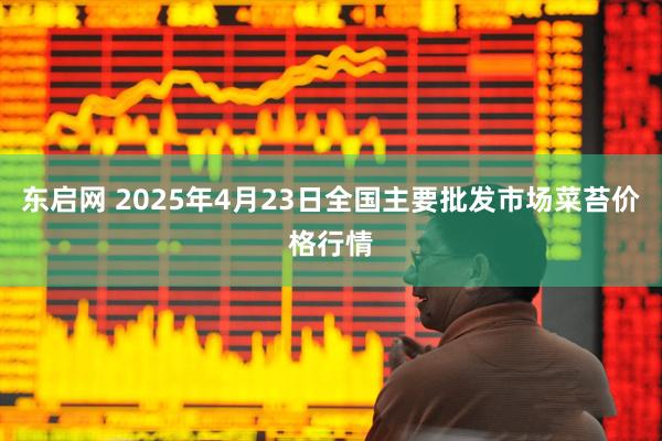 东启网 2025年4月23日全国主要批发市场菜苔价格行情
